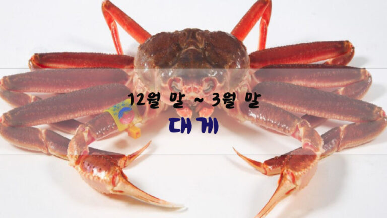 대게 대표 이미지