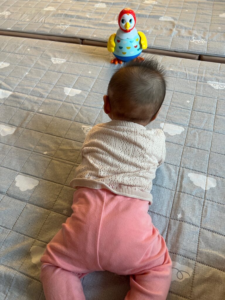 터미타임 중 아기 시선을 끄는 꼬꼬맘 배치 예시