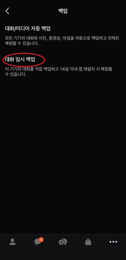 카카오톡 대화 임시 백업 화면과 14일 이내 복원 안내 문구