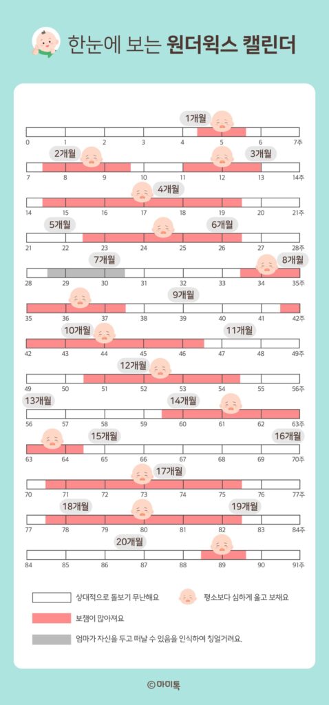 0-6개월 원더윅스 도약기 육아 경험담 썸네일