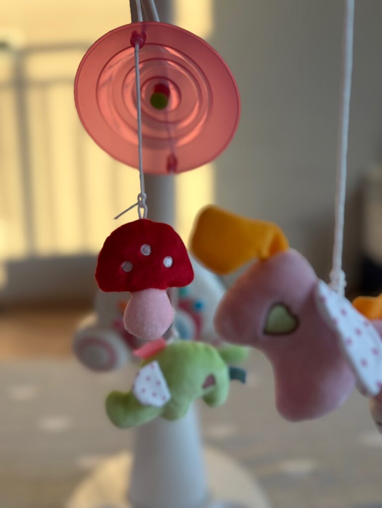 타이니 모빌 인형 디테일 근접샷